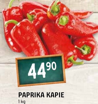 Terno PAPRIKA KAPIE nabídka