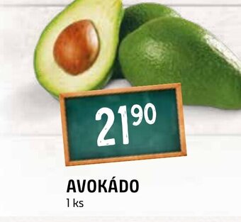 Terno AVOKÁDO nabídka