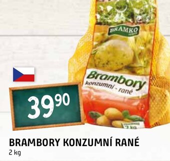 Terno BRAMBORY KONZUMNÍ RANÉ nabídka