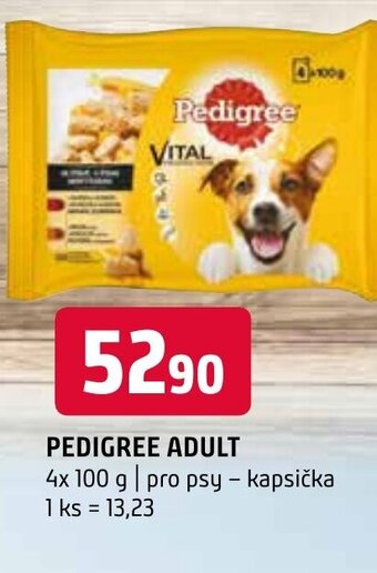 Terno PEDIGREE ADULT nabídka
