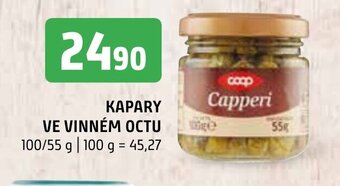 Terno KAPARY VE VINNÉM OCTU nabídka
