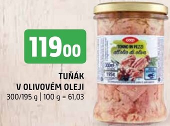 Terno TUŇÁK V OLIVOVÉM OLEJI 300/195 g nabídka