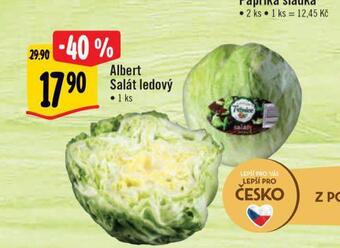 Albert Salát ledový nabídka