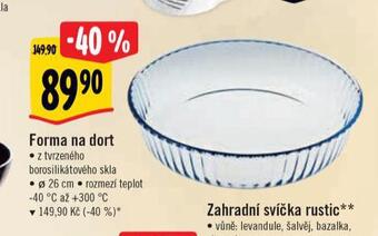 Albert Forma na dort nabídka