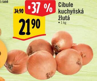 Albert Cibule kuchyňská žlutá nabídka