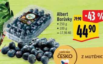 Albert Albert borůvky 250 g nabídka