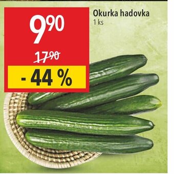 Globus Okurka hadovka nabídka