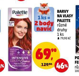 Penny Market Palette barva na vlasy nabídka