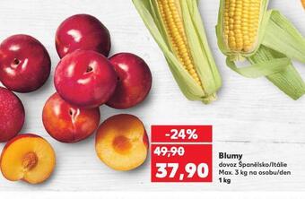 Kaufland Blumy nabídka