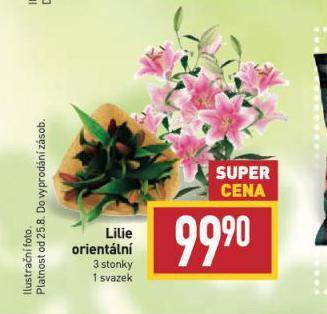 Billa Lilie orientální nabídka