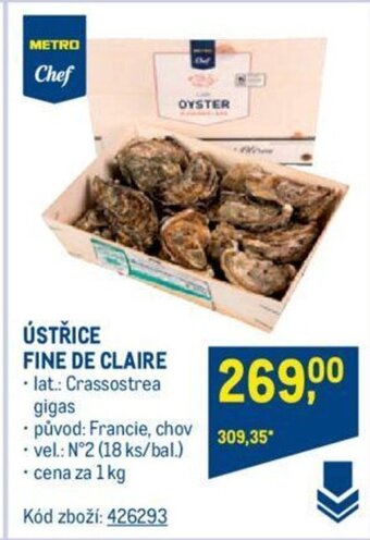 Makro ÚSTŘICE FINE DE CLAIRE • vel.: N°2 (18 ks/bal.) nabídka