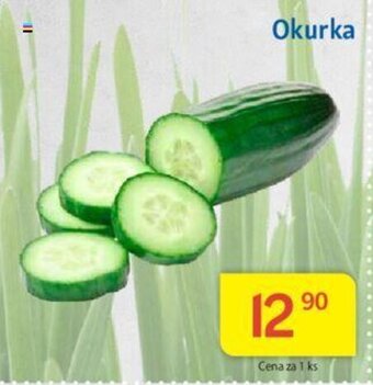 Kubík potraviny Okurka nabídka