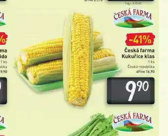 Billa Kukuřice klas nabídka