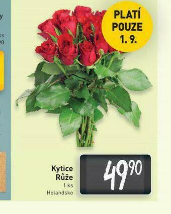 Billa Kytice růže nabídka