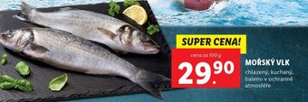 Lidl MOŘSKÝ VLK nabídka