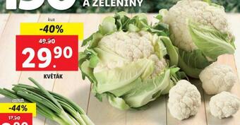 Lidl Květák nabídka