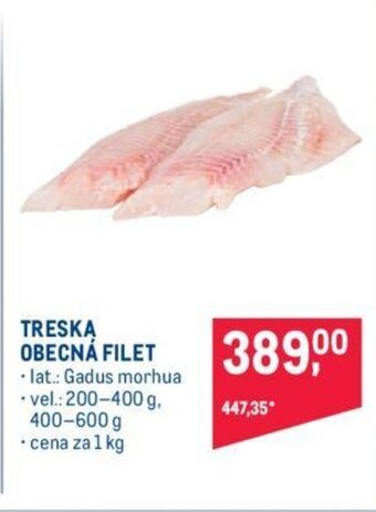 Makro TRESKA OBECNÁ FILET nabídka