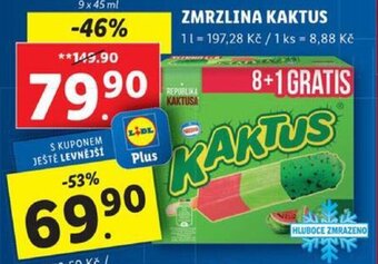 Lidl ZMRZLINA KAKTUS nabídka