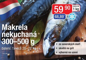 Qanto Makrela nekuchaná 300-500 g nabídka