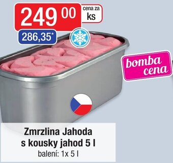 Qanto Zmrzlina Jahoda s kousky jahod 5L nabídka