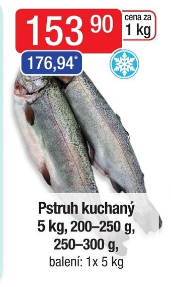 Qanto Pstruh kuchaný 5 kg, 200-250 g, 250-300 g nabídka
