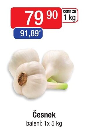 Qanto Česnek nabídka