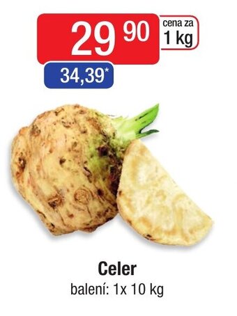 Qanto Celer nabídka