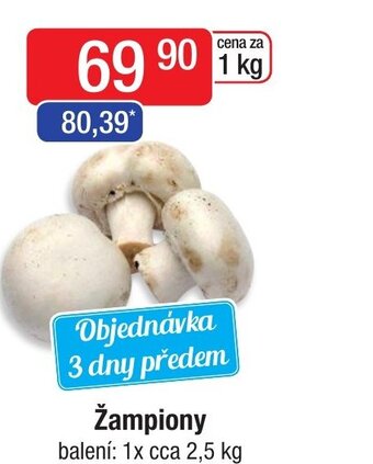 Qanto Žampiony nabídka