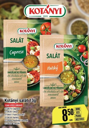 Tamda Foods Kotányi salát 13g nabídka