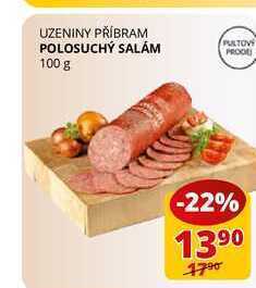 Flop Polosuchý salám 100 g nabídka