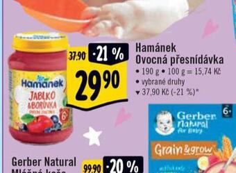 Albert Hamánek ovocná přesnídávka nabídka