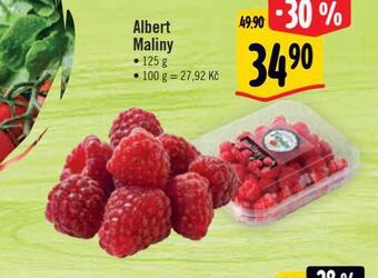 Albert Maliny nabídka