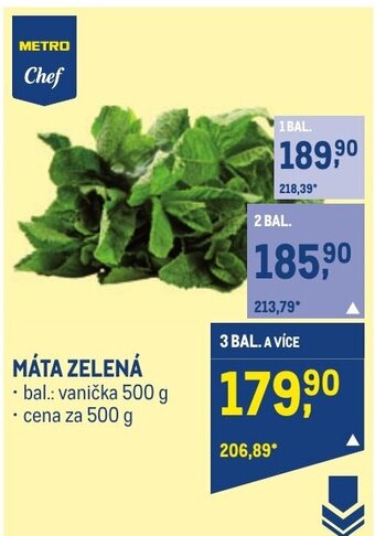 Makro MÁTA ZELENÁ nabídka