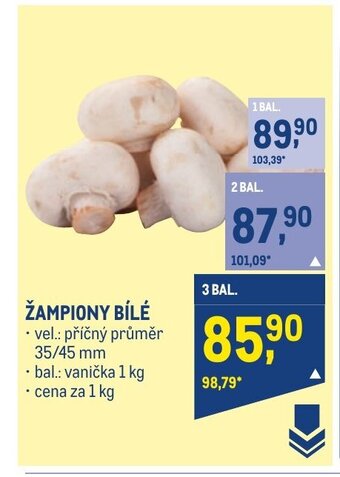 Makro ŽAMPIONY BÍLÉ nabídka