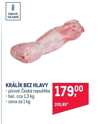 Makro KRÁLÍK BEZ HLAVY nabídka