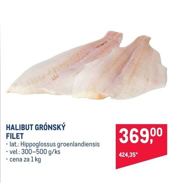Makro HALIBUT GRÓNSKÝ FILET nabídka