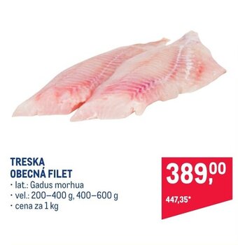 Makro TRESKA OBECNÁ FILET nabídka