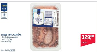 Makro CHOBOTNICE VANIČKA nabídka