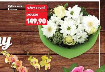 Kaufland Kytice mix nabídka