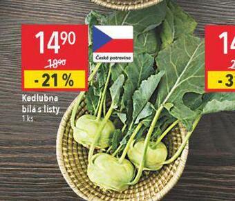 Globus Kedlubna nabídka