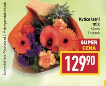 Billa Kytice letní nabídka