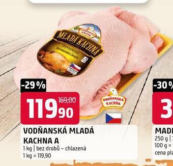 Terno Vodňanská mladá kachna nabídka