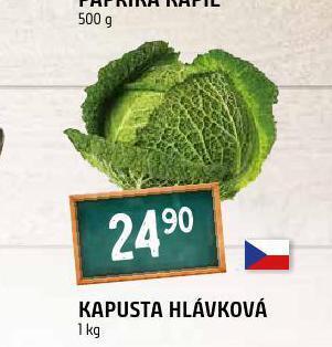 Terno Kapusta hlávková nabídka