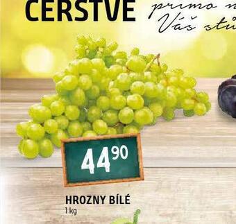 Terno Hrozny bílé nabídka