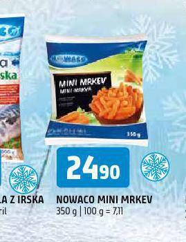 Terno Nowaco mini mrkev nabídka