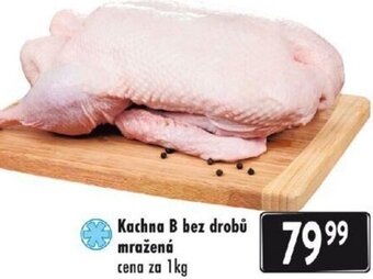 Qanto Kachna B bez drobů mražená nabídka
