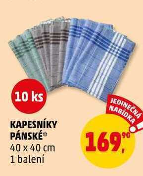 Penny Market Kapesníky pánské, 10 ks nabídka