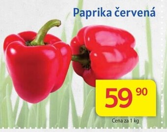 Kubík potraviny Paprika červená nabídka
