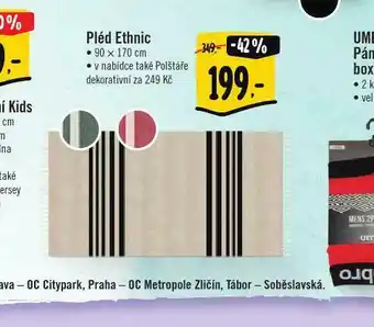 Albert Pléd ethnic nabídka