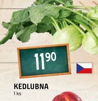 Terno KEDLUBNA nabídka